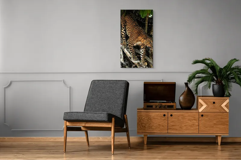 Tablou Canvas, "Leopard înfruntând umbra copacului străvechi", 50 x 90 cm – poza 8