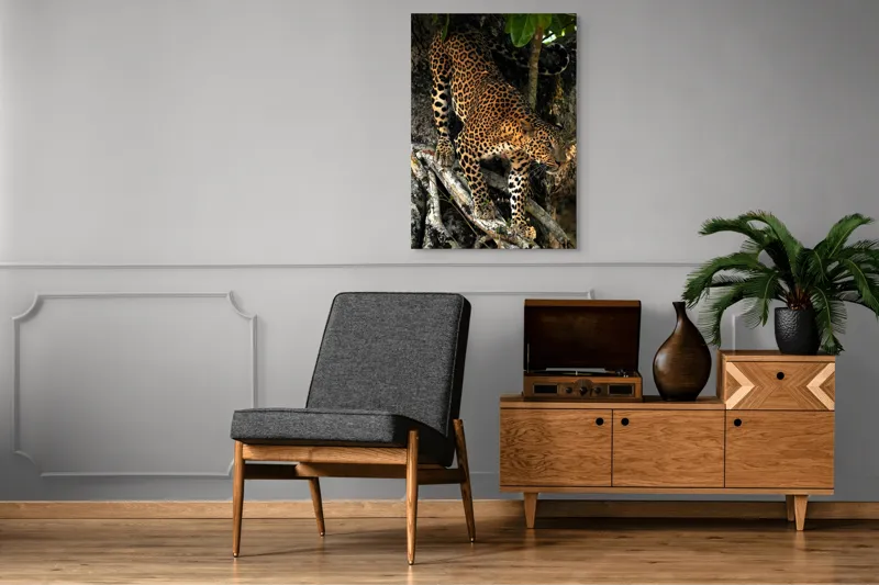 Tablou Canvas, "Leopard înfruntând umbra copacului străvechi", 70 x 100 cm – poza 6