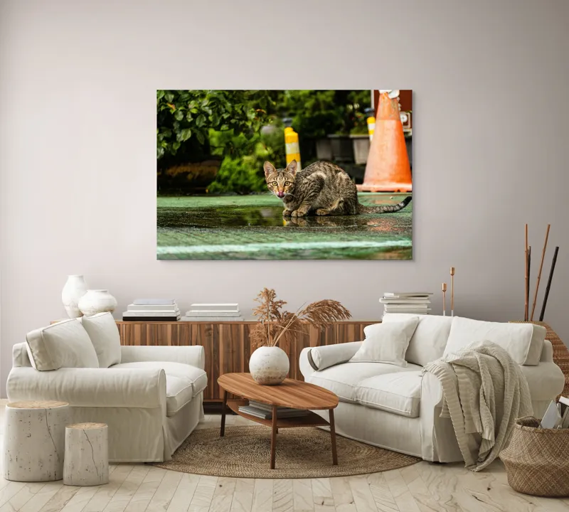 Tablou Canvas, "Pisica contemplând cerul după ploaie", Pisică, Ud, Parc, Portocaliu, Plante, Coadă, Curbat, Strălucire, Ochi, Verde, 150 x 100 cm – poza 3