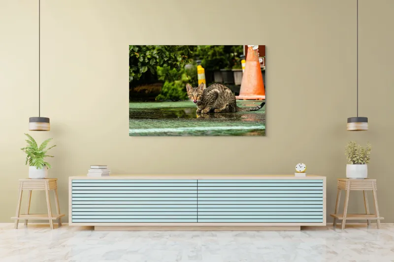 Tablou Canvas, "Pisica contemplând cerul după ploaie", Pisică, Ud, Parc, Portocaliu, Plante, Coadă, Curbat, Strălucire, Ochi, Verde, 150 x 100 cm – poza 6