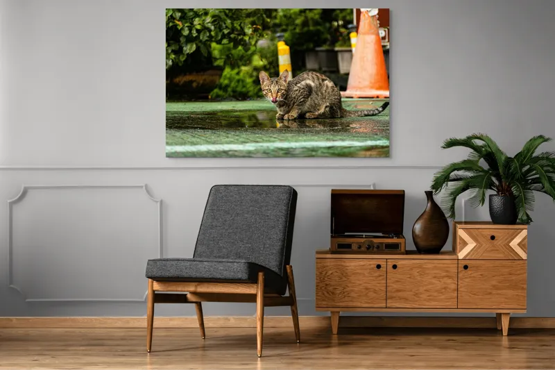 Tablou Canvas, "Pisica contemplând cerul după ploaie", Pisică, Ud, Parc, Portocaliu, Plante, Coadă, Curbat, Strălucire, Ochi, Verde, 150 x 100 cm – poza 8
