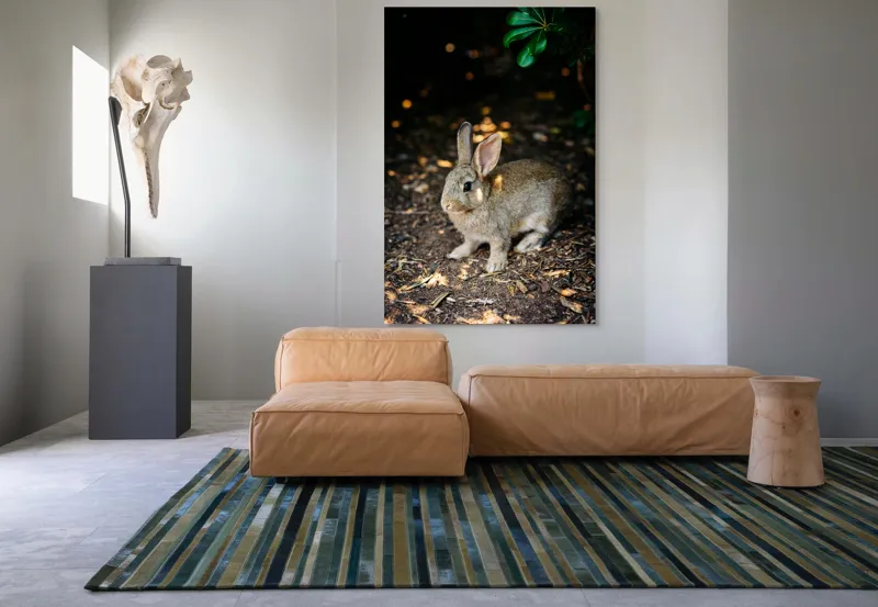 Tablou Canvas, "Iepurașul în lumina pădurii", Iepuraș, Blândețe, Natură, Pământ, Umbre, Lumină, Frunze, 100 x 150 cm – poza 7