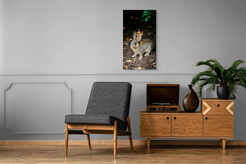 Tablou Canvas, "Iepurașul în lumina pădurii", Iepuraș, Blândețe, Natură, Pământ, Umbre, Lumină, Frunze, 50 x 90 cm – poza 8