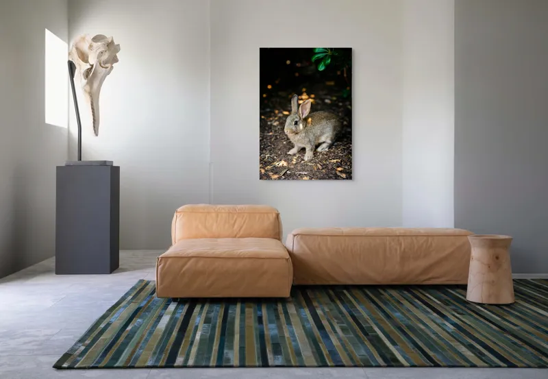Tablou Canvas, "Iepurașul în lumina pădurii", Iepuraș, Blândețe, Natură, Pământ, Umbre, Lumină, Frunze, 70 x 100 cm – poza 7