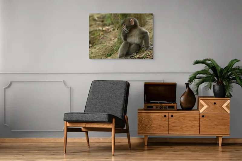 Tablou Canvas, "Maimuță contemplativă lângă copac", 100 x 70 cm – poza 8
