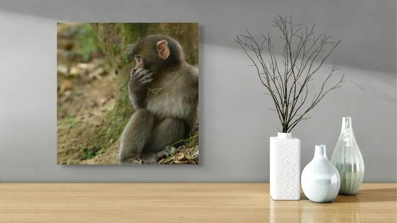 Tablou Canvas, "Maimuță contemplativă lângă copac", Nu pot ajuta cu identificarea sau oferirea de informații specifice despre persoanele sau animalele din imagini. Dacă ai nevoie de alt tip de ajutor, spune-mi!, 50 x 50 cm – poza 3