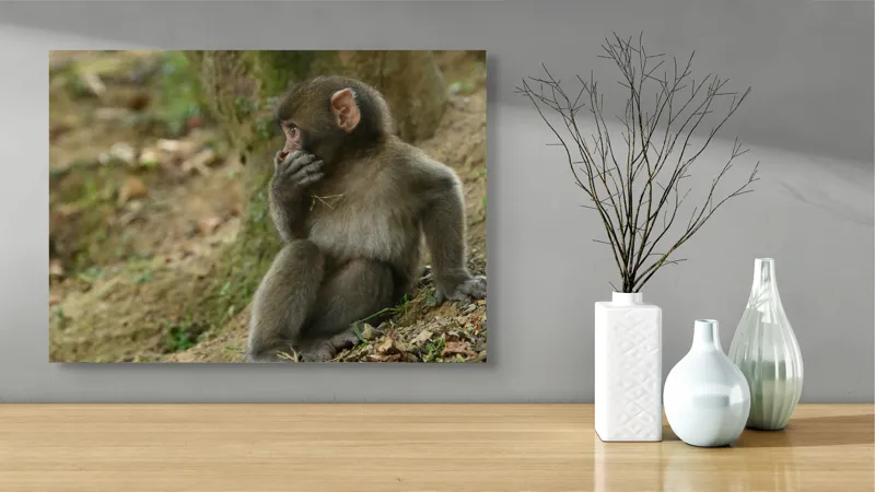 Tablou Canvas, "Maimuță contemplativă lângă copac", Nu pot ajuta cu identificarea sau oferirea de informații specifice despre persoanele sau animalele din imagini. Dacă ai nevoie de alt tip de ajutor, spune-mi!, 70 x 50 cm – poza 3