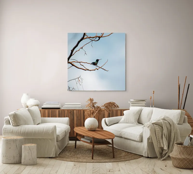 Tablou Canvas, "Colibri pe ramura uscată în lumină", Pasăre, Ramură, Cer, Tranquilitate, Natură, Solitudine, Delicatețe, Frumusețe, 100 x 100 cm – poza 3