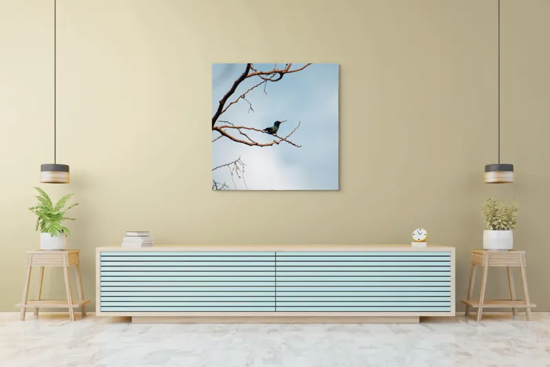 Tablou Canvas, "Colibri pe ramura uscată în lumină", Pasăre, Ramură, Cer, Tranquilitate, Natură, Solitudine, Delicatețe, Frumusețe, 100 x 100 cm – poza 5