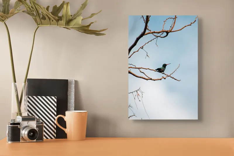 Tablou Canvas, "Colibri pe ramura uscată în lumină", Pasăre, Ramură, Cer, Tranquilitate, Natură, Solitudine, Delicatețe, Frumusețe, 26 x 39 cm – poza 3