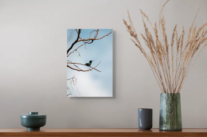 Tablou Canvas, "Colibri pe ramura uscată în lumină", Pasăre, Ramură, Cer, Tranquilitate, Natură, Solitudine, Delicatețe, Frumusețe, 26 x 39 cm – poza 5