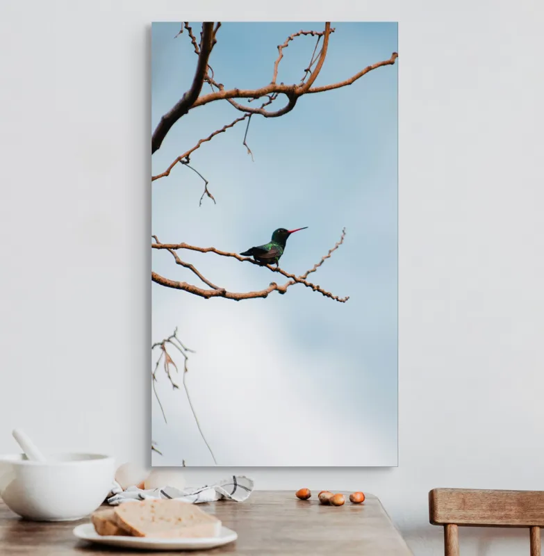Tablou Canvas, "Colibri pe ramura uscată în lumină", Pasăre, Ramură, Cer, Tranquilitate, Natură, Solitudine, Delicatețe, Frumusețe, 50 x 90 cm – poza 3