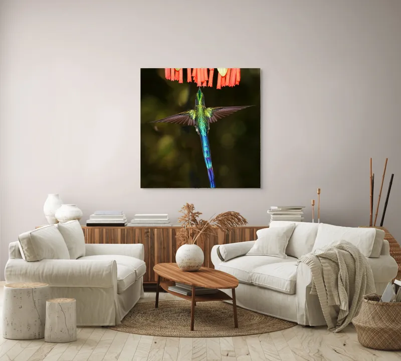 Tablou Canvas, "Colibri în zbor spre flori roșii", Zbor, Colibri, Nectar, Verde, Aripi, Flori, Sclipire, Natură, Delicatețe, Viteză, 100 x 100 cm – poza 3
