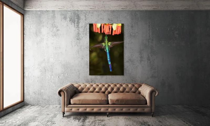 Tablou Canvas, "Colibri în zbor spre flori roșii", Zbor, Colibri, Nectar, Verde, Aripi, Flori, Sclipire, Natură, Delicatețe, Viteză, 100 x 150 cm – poza 6