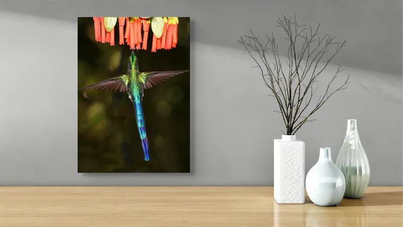 Tablou Canvas, "Colibri în zbor spre flori roșii", Zbor, Colibri, Nectar, Verde, Aripi, Flori, Sclipire, Natură, Delicatețe, Viteză, 39 x 54 cm – poza 4