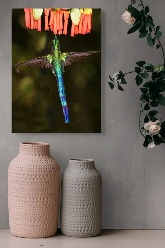 Tablou Canvas, "Colibri în zbor spre flori roșii", Zbor, Colibri, Nectar, Verde, Aripi, Flori, Sclipire, Natură, Delicatețe, Viteză, 39 x 54 cm – poza 6