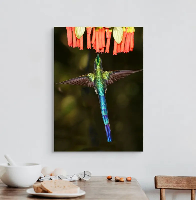 Tablou Canvas, "Colibri în zbor spre flori roșii", Zbor, Colibri, Nectar, Verde, Aripi, Flori, Sclipire, Natură, Delicatețe, Viteză, 50 x 70 cm – poza 3