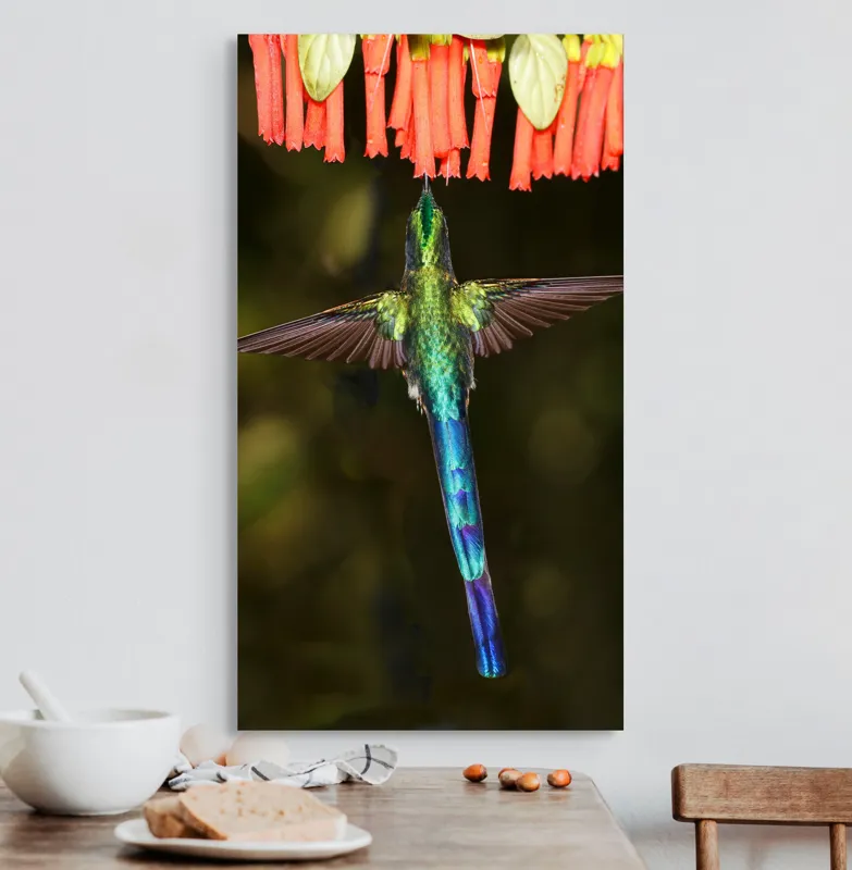 Tablou Canvas, "Colibri în zbor spre flori roșii", Zbor, Colibri, Nectar, Verde, Aripi, Flori, Sclipire, Natură, Delicatețe, Viteză, 50 x 90 cm – poza 3