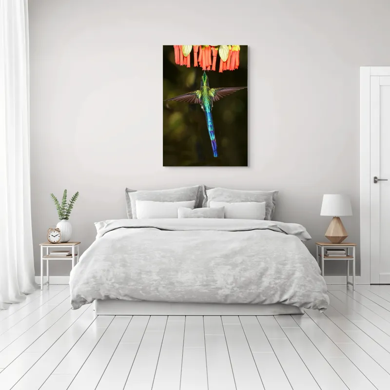 Tablou Canvas, "Colibri în zbor spre flori roșii", Zbor, Colibri, Nectar, Verde, Aripi, Flori, Sclipire, Natură, Delicatețe, Viteză, 70 x 100 cm – poza 3