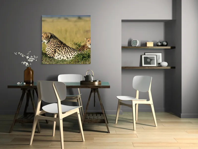 Tablou Canvas, "Gheparzi odihnindu-se în savană africană", Cheetah, Savanna, Relaxing, Alert, Spotted, Elegant, Graceful, Majestic, 100 x 100 cm – poza 6