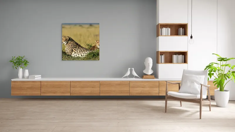 Tablou Canvas, "Gheparzi odihnindu-se în savană africană", Cheetah, Savanna, Relaxing, Alert, Spotted, Elegant, Graceful, Majestic, 100 x 100 cm – poza 8