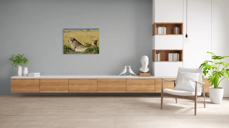 Tablou Canvas, "Gheparzi odihnindu-se în savană africană", Cheetah, Savanna, Relaxing, Alert, Spotted, Elegant, Graceful, Majestic, 100 x 70 cm – poza 6
