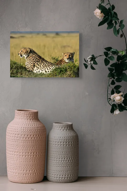 Tablou Canvas, "Gheparzi odihnindu-se în savană africană", Cheetah, Savanna, Relaxing, Alert, Spotted, Elegant, Graceful, Majestic, 39 x 26 cm – poza 4