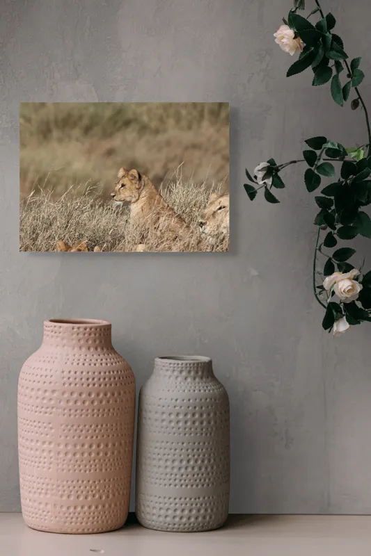 Tablou Canvas, "Leoaică tânără pândind în savană", Leu, Savana, Iarbă, Vulturare, Observare, 54 x 39 cm – poza 8
