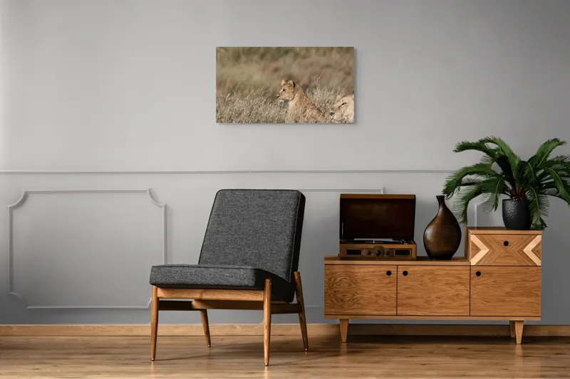 Tablou Canvas, "Leoaică tânără pândind în savană", Leu, Savana, Iarbă, Vulturare, Observare, 90 x 50 cm – poza 6