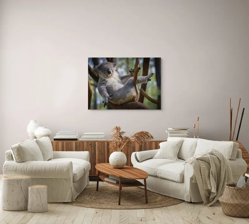 Tablou Canvas, "Visul unui koala pe ramură", Somn, Relaxează, Natură, Blană, Crengi, Eucalipt, Liniște, Odihnă, Koala, 100 x 70 cm – poza 3