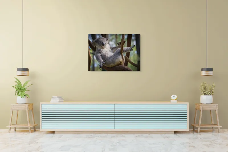 Tablou Canvas, "Visul unui koala pe ramură", Somn, Relaxează, Natură, Blană, Crengi, Eucalipt, Liniște, Odihnă, Koala, 100 x 70 cm – poza 4
