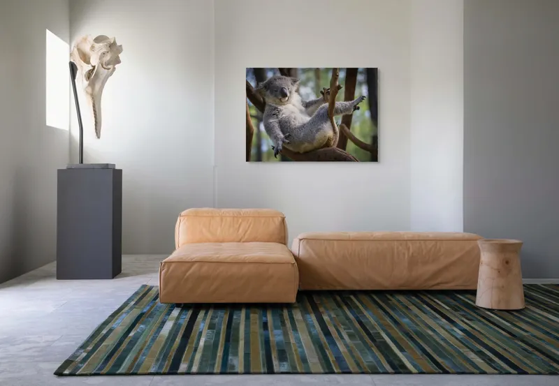 Tablou Canvas, "Visul unui koala pe ramură", Somn, Relaxează, Natură, Blană, Crengi, Eucalipt, Liniște, Odihnă, Koala, 100 x 70 cm – poza 7