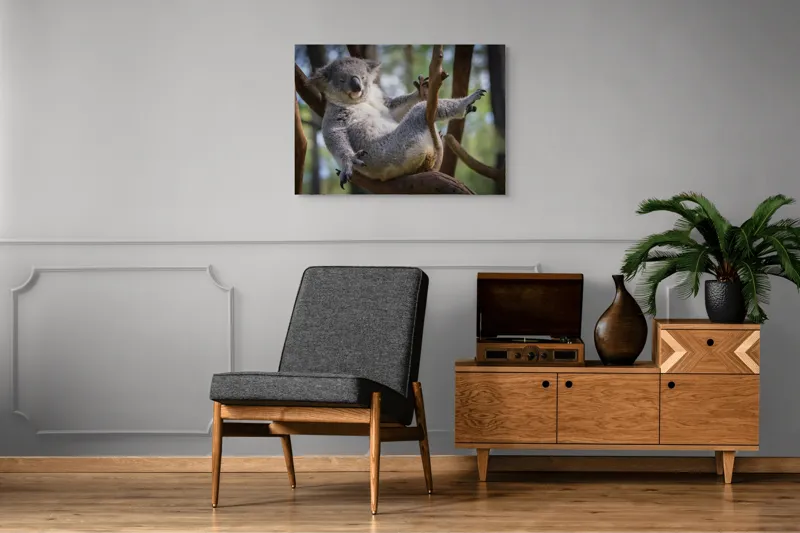 Tablou Canvas, "Visul unui koala pe ramură", Somn, Relaxează, Natură, Blană, Crengi, Eucalipt, Liniște, Odihnă, Koala, 100 x 70 cm – poza 8