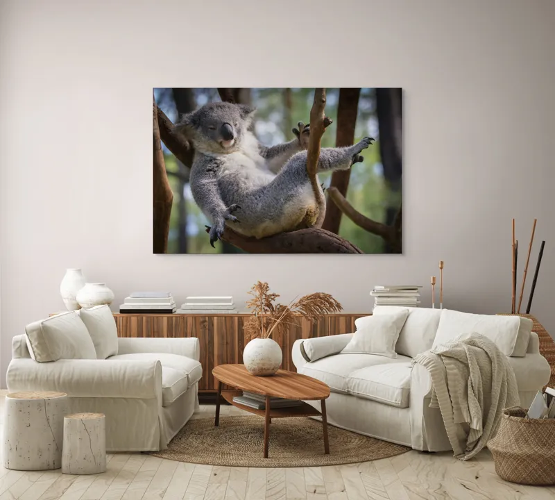 Tablou Canvas, "Visul unui koala pe ramură", Somn, Relaxează, Natură, Blană, Crengi, Eucalipt, Liniște, Odihnă, Koala, 150 x 100 cm – poza 3