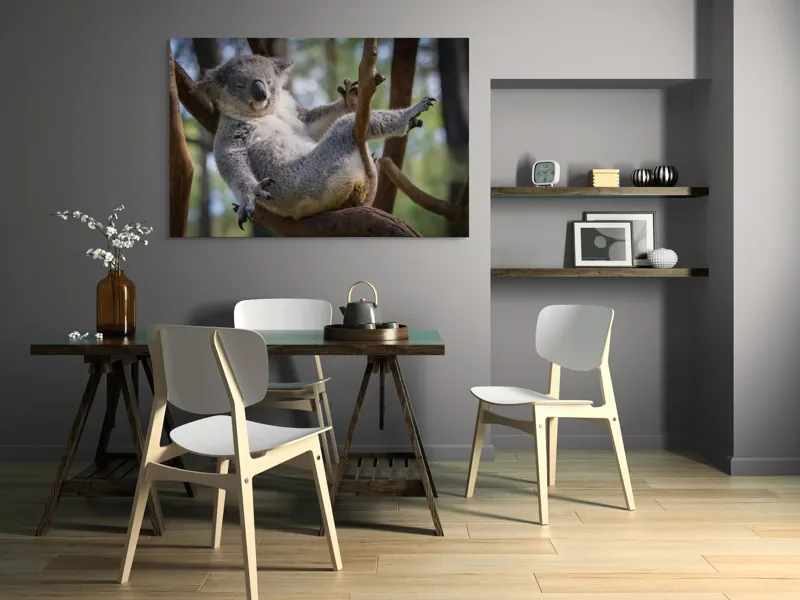 Tablou Canvas, "Visul unui koala pe ramură", Somn, Relaxează, Natură, Blană, Crengi, Eucalipt, Liniște, Odihnă, Koala, 150 x 100 cm – poza 5