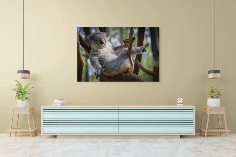 Tablou Canvas, "Visul unui koala pe ramură", Somn, Relaxează, Natură, Blană, Crengi, Eucalipt, Liniște, Odihnă, Koala, 150 x 100 cm – poza 6