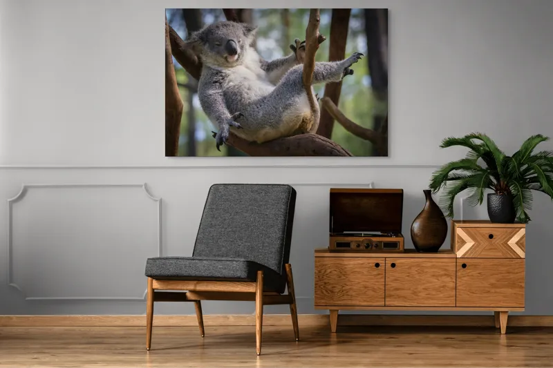 Tablou Canvas, "Visul unui koala pe ramură", Somn, Relaxează, Natură, Blană, Crengi, Eucalipt, Liniște, Odihnă, Koala, 150 x 100 cm – poza 8