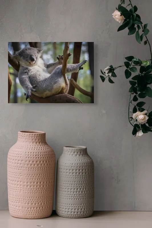 Tablou Canvas, "Visul unui koala pe ramură", Somn, Relaxează, Natură, Blană, Crengi, Eucalipt, Liniște, Odihnă, Koala, 54 x 39 cm – poza 8