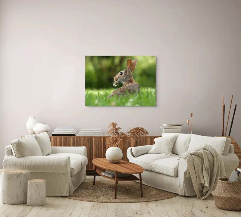 Tablou Canvas, "Iepurele visător cu floare albă", Iepure, Iarbă, Trifoi, Urechi, Natură, Verde, Blană, Relaxare, Privește, Primăvară, 100 x 70 cm – poza 3