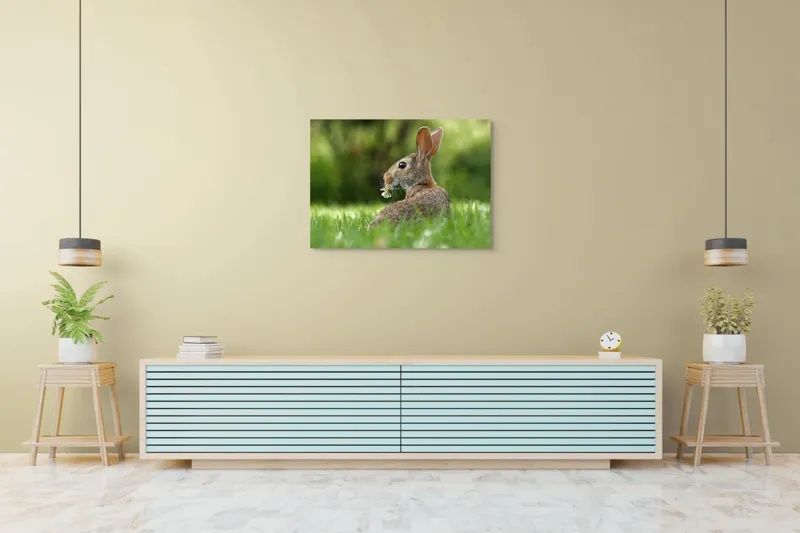 Tablou Canvas, "Iepurele visător cu floare albă", Iepure, Iarbă, Trifoi, Urechi, Natură, Verde, Blană, Relaxare, Privește, Primăvară, 100 x 70 cm – poza 4