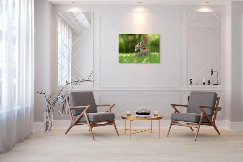 Tablou Canvas, "Iepurele visător cu floare albă", Iepure, Iarbă, Trifoi, Urechi, Natură, Verde, Blană, Relaxare, Privește, Primăvară, 100 x 70 cm – poza 5