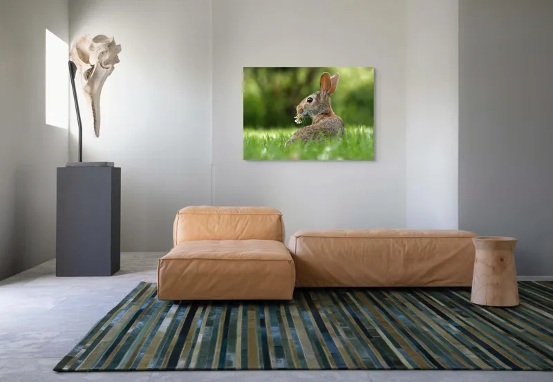 Tablou Canvas, "Iepurele visător cu floare albă", Iepure, Iarbă, Trifoi, Urechi, Natură, Verde, Blană, Relaxare, Privește, Primăvară, 100 x 70 cm – poza 7