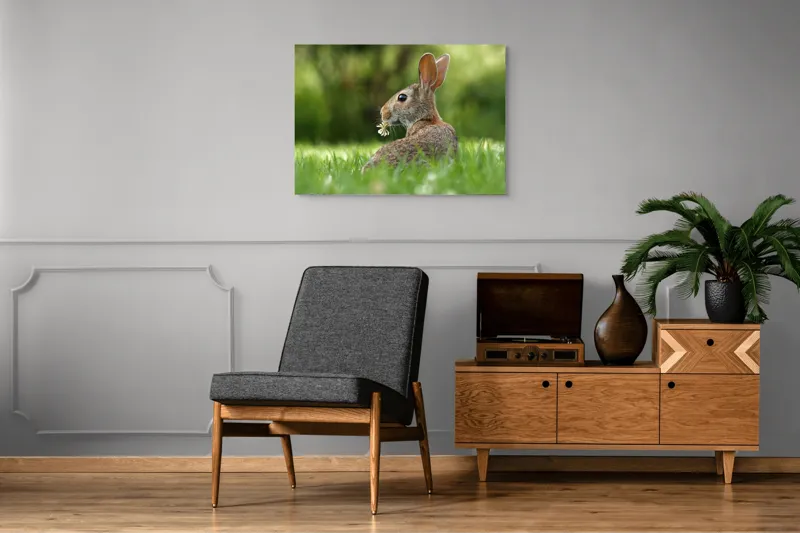 Tablou Canvas, "Iepurele visător cu floare albă", Iepure, Iarbă, Trifoi, Urechi, Natură, Verde, Blană, Relaxare, Privește, Primăvară, 100 x 70 cm – poza 8