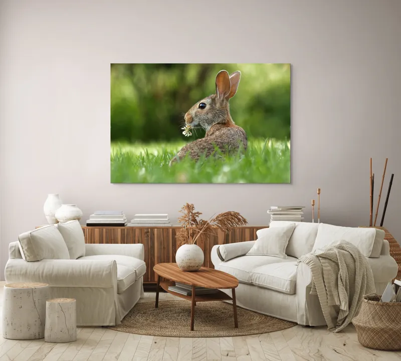 Tablou Canvas, "Iepurele visător cu floare albă", Iepure, Iarbă, Trifoi, Urechi, Natură, Verde, Blană, Relaxare, Privește, Primăvară, 150 x 100 cm – poza 3