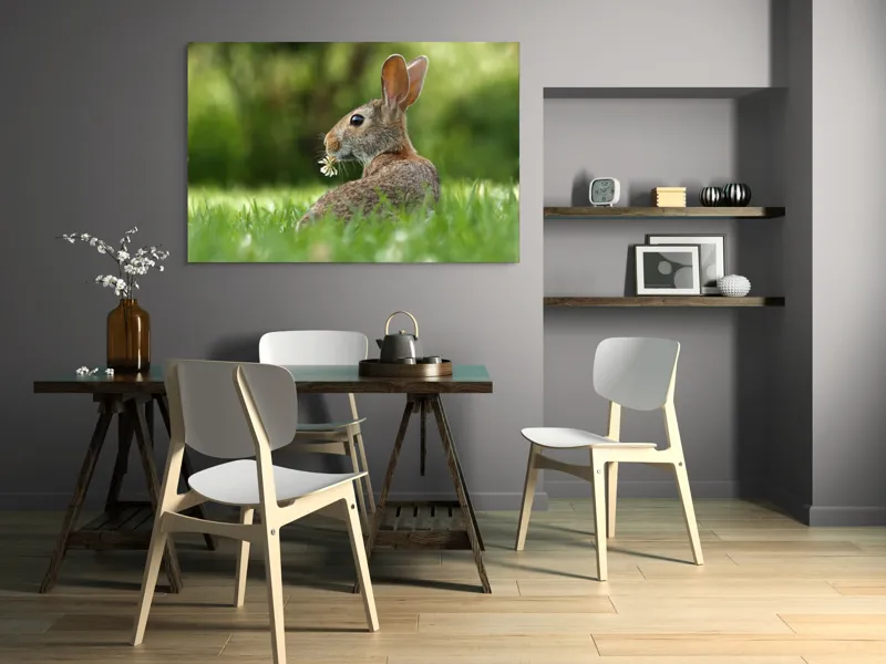 Tablou Canvas, "Iepurele visător cu floare albă", Iepure, Iarbă, Trifoi, Urechi, Natură, Verde, Blană, Relaxare, Privește, Primăvară, 150 x 100 cm – poza 5