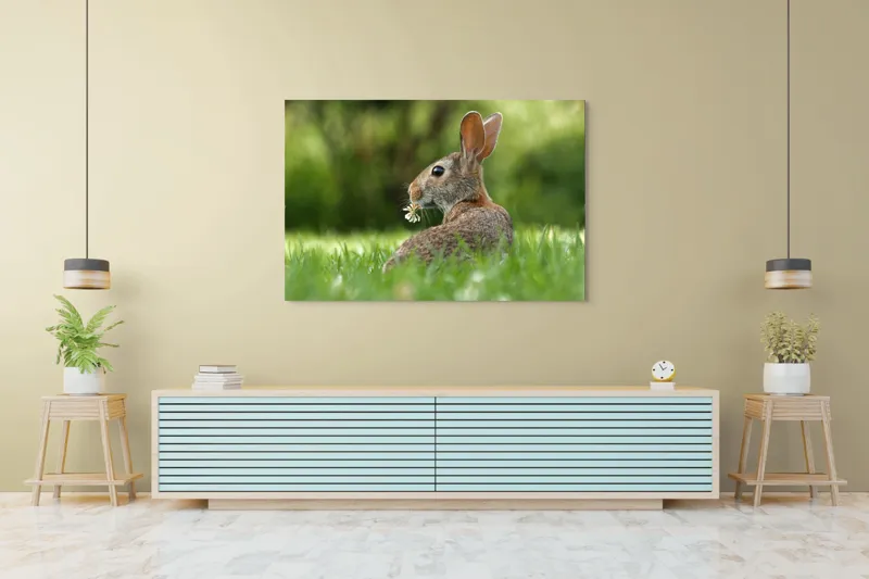 Tablou Canvas, "Iepurele visător cu floare albă", Iepure, Iarbă, Trifoi, Urechi, Natură, Verde, Blană, Relaxare, Privește, Primăvară, 150 x 100 cm – poza 6