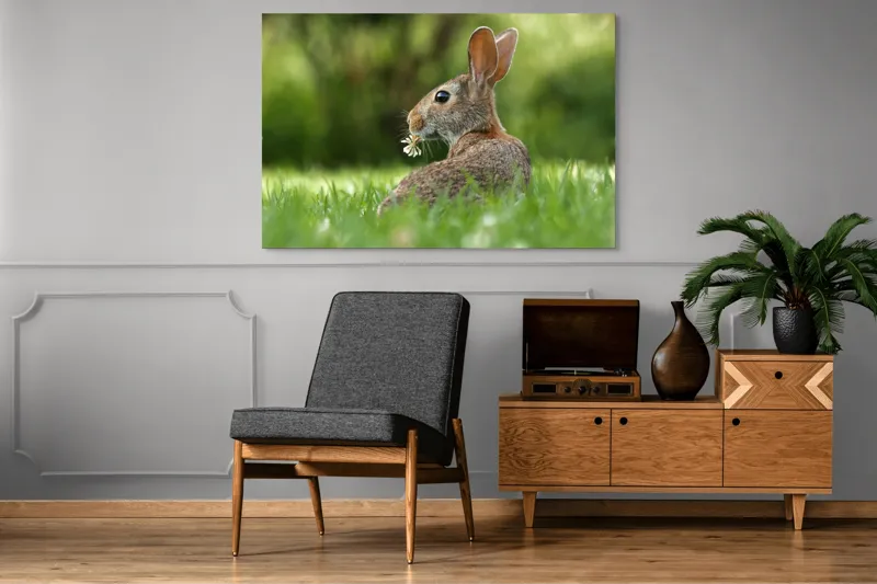 Tablou Canvas, "Iepurele visător cu floare albă", Iepure, Iarbă, Trifoi, Urechi, Natură, Verde, Blană, Relaxare, Privește, Primăvară, 150 x 100 cm – poza 8