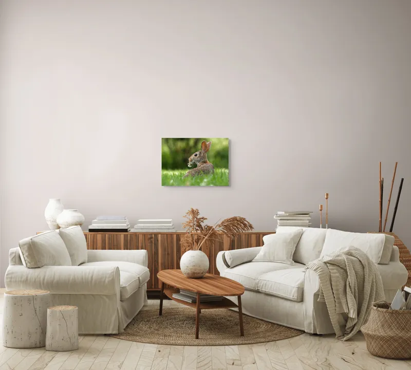 Tablou Canvas, "Iepurele visător cu floare albă", Iepure, Iarbă, Trifoi, Urechi, Natură, Verde, Blană, Relaxare, Privește, Primăvară, 54 x 39 cm – poza 5