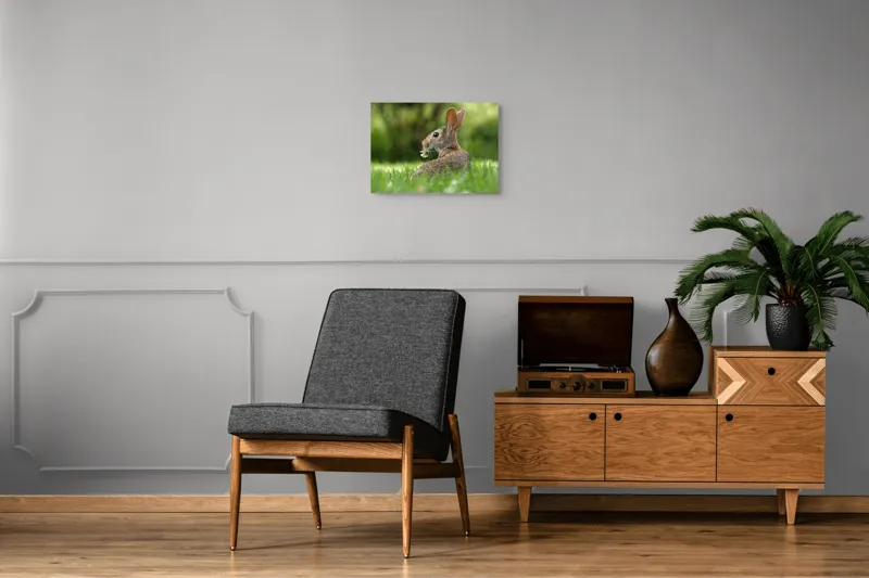 Tablou Canvas, "Iepurele visător cu floare albă", Iepure, Iarbă, Trifoi, Urechi, Natură, Verde, Blană, Relaxare, Privește, Primăvară, 54 x 39 cm – poza 7
