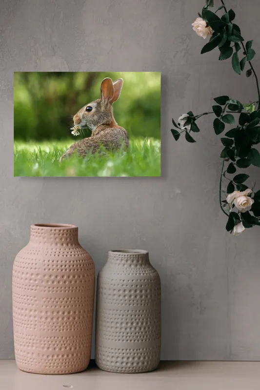 Tablou Canvas, "Iepurele visător cu floare albă", Iepure, Iarbă, Trifoi, Urechi, Natură, Verde, Blană, Relaxare, Privește, Primăvară, 54 x 39 cm – poza 8